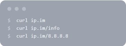 IP.IM—在线IP查询工具插图1