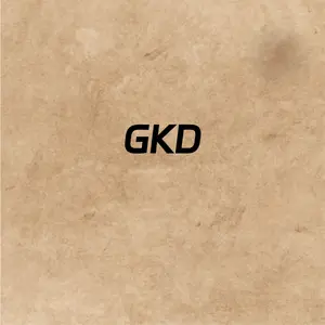 GKD—自定义屏幕点击安卓应用