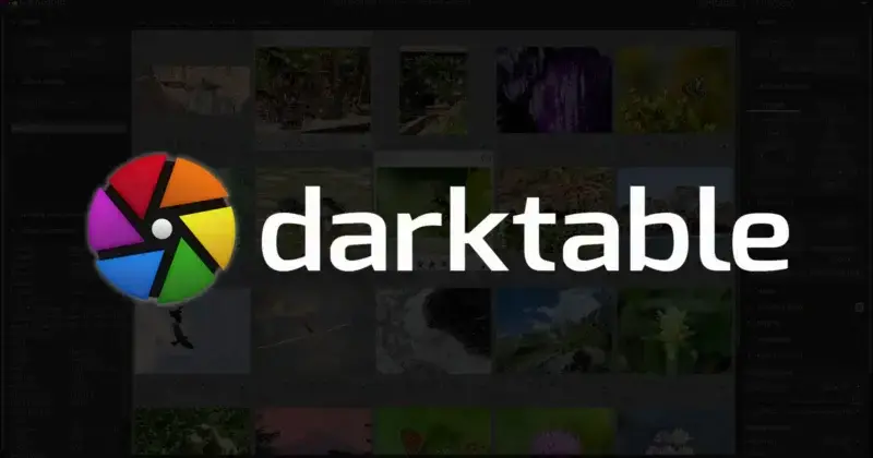 Darktable—RAW 图像处理软件插图