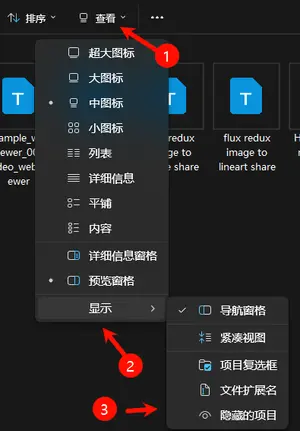 如何在Windows 11中隐藏文件或文件夹？插图1