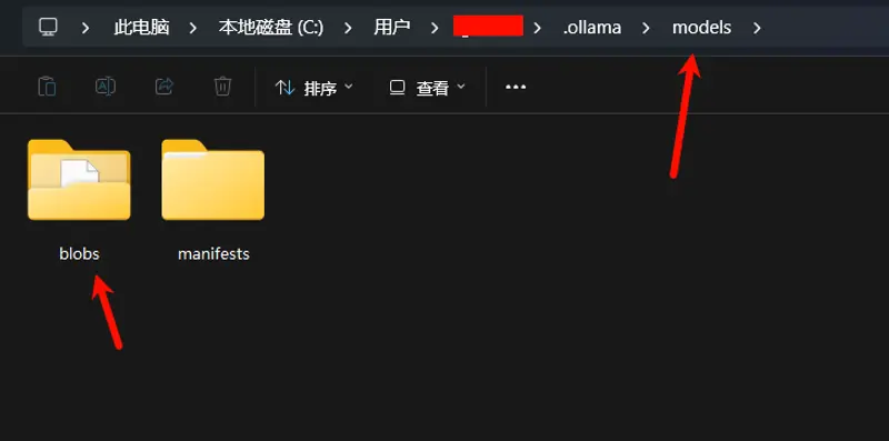 如何本地运行 DeepSeek R1？通过 ollama 框架安装和使用 DeepSeek R1 模型插图5